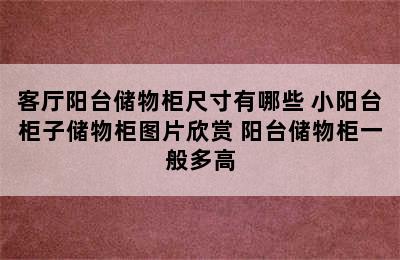 客厅阳台储物柜尺寸有哪些 小阳台柜子储物柜图片欣赏 阳台储物柜一般多高